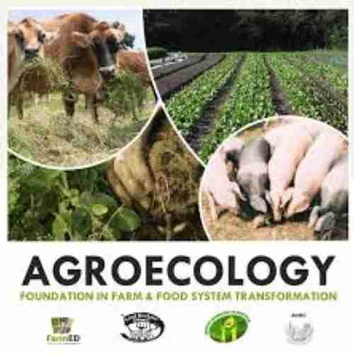 agrobugz